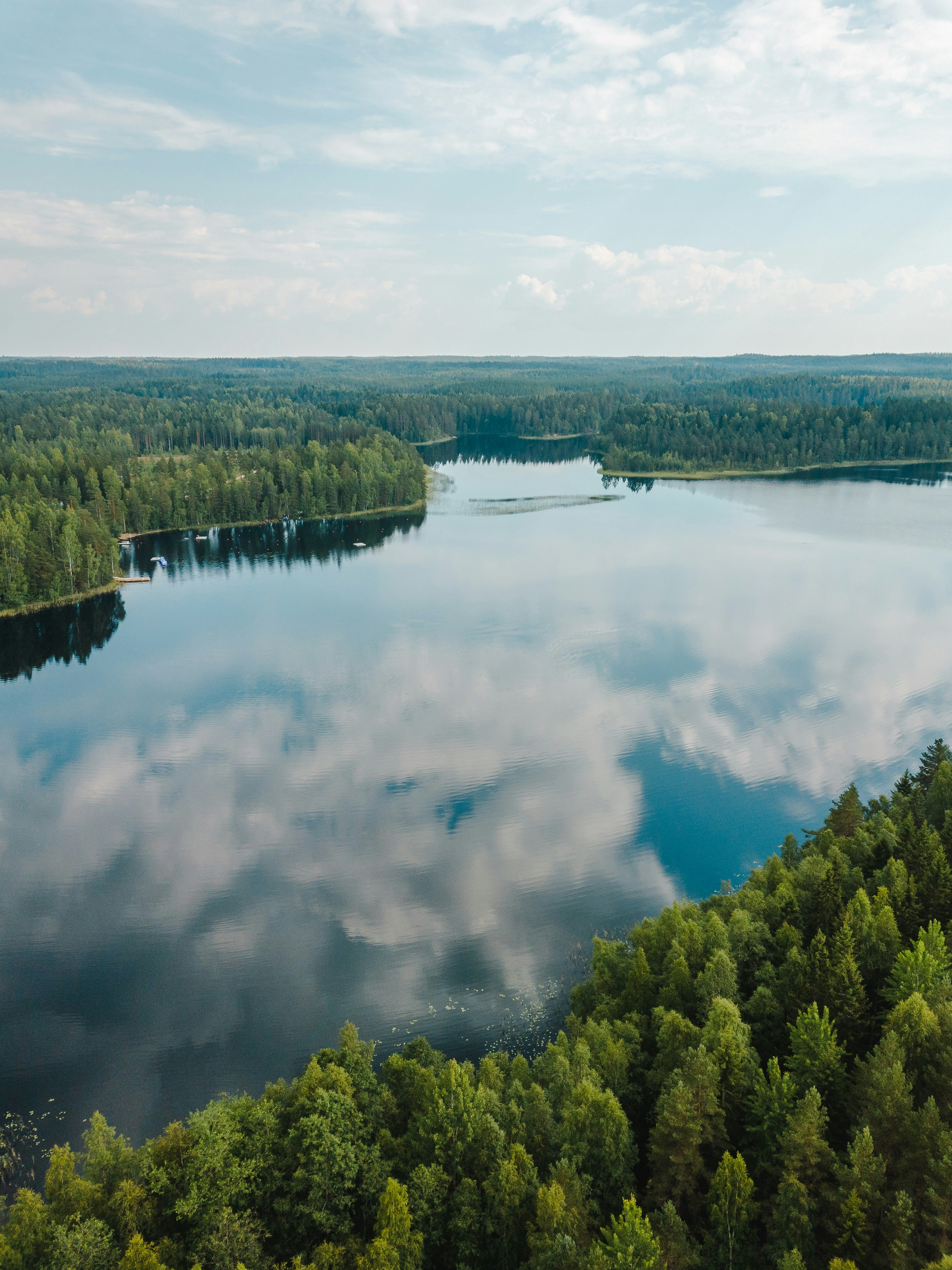 Forest reflected on a Finnish lake